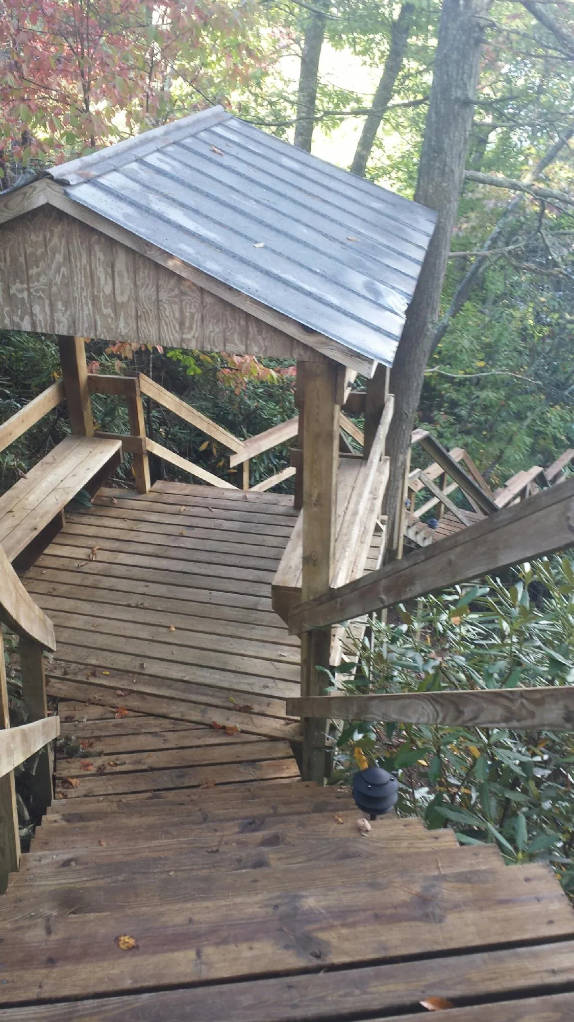Metal roofed shelter over wooden steps on a wooded walkway — Skylight Repair & Installation work by our crew in Delia